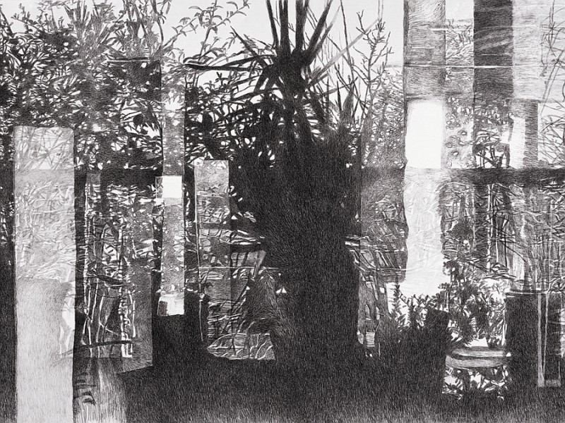 ANTIGONI KAVVATHA,TAPETUM LUCIDUM,  2007-15, 2X8.65m, charcoal on paper, detail