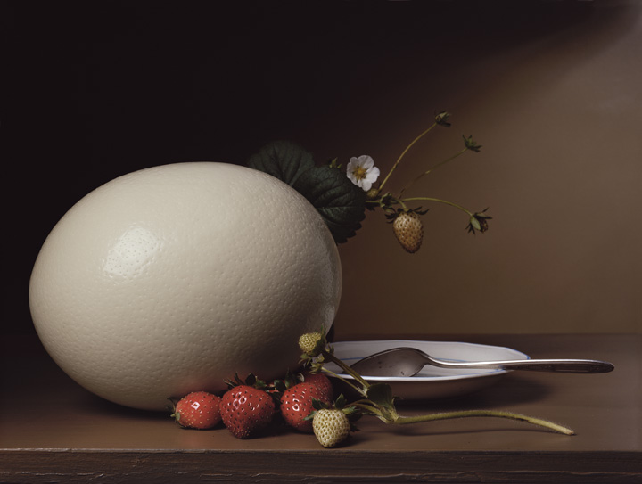 “Early American – Still Life with Strawberries and Ostrich Egg,” 17” x 23,” C-print, 2007
